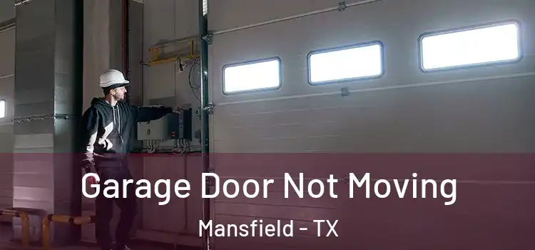  Garage Door Not Moving Mansfield - TX