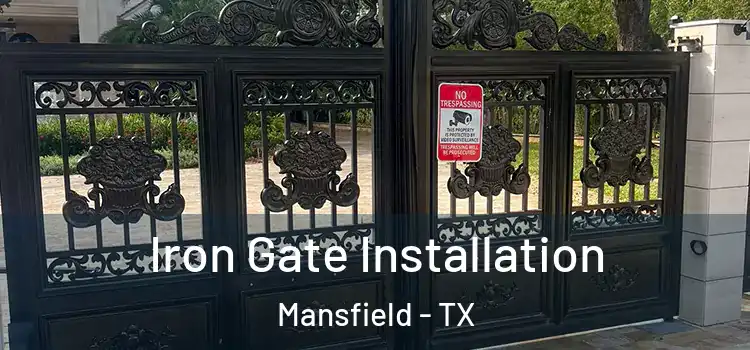 Iron Gate Installation Mansfield - TX